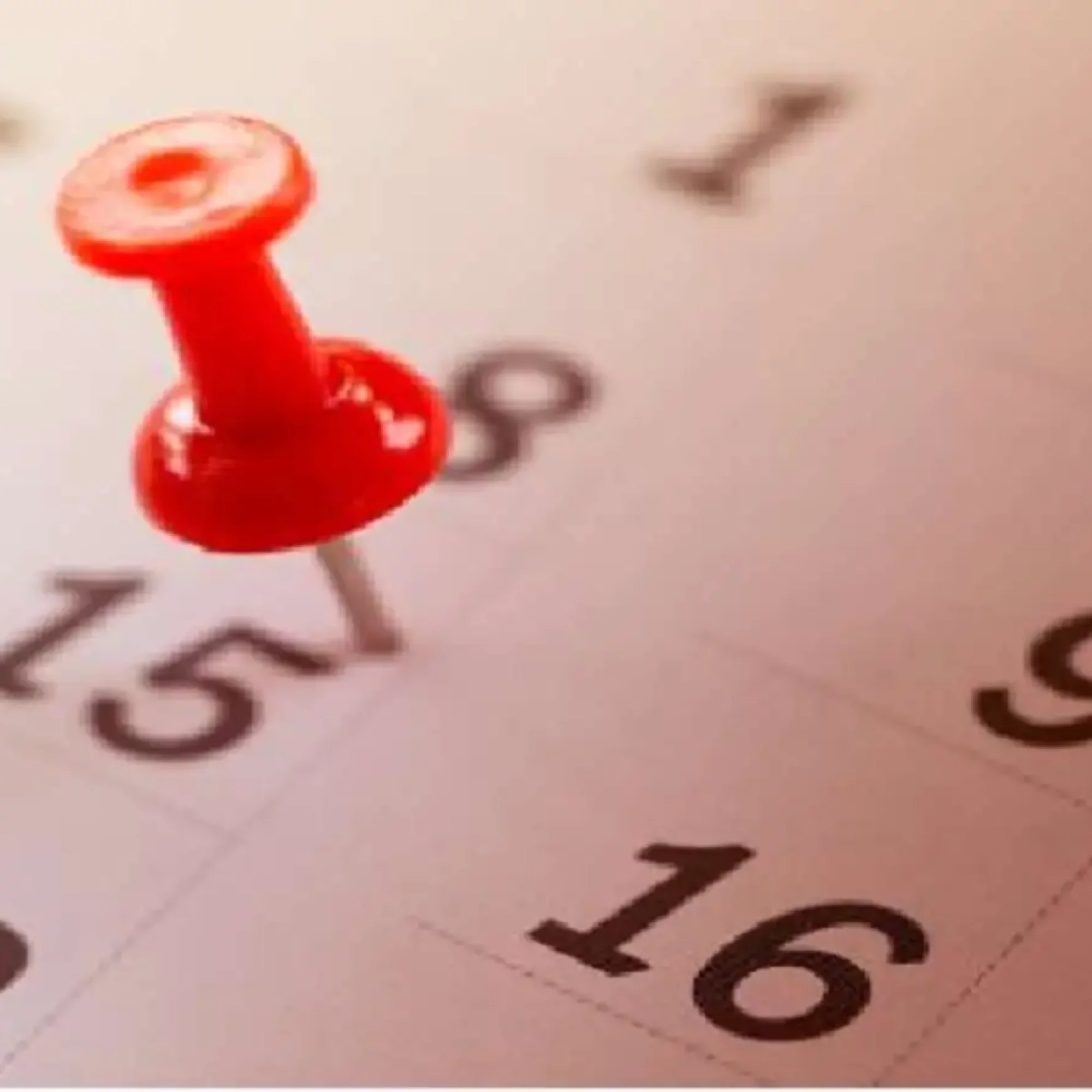 prise-en-compte-des-evenements-promotionnels-saisonniers-et-speciaux